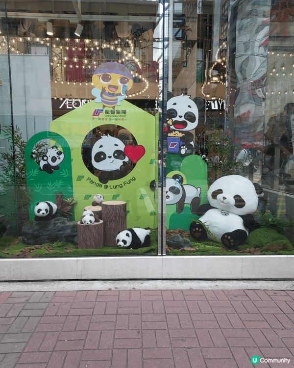 在旺角龍豐窗戶見到很多熊貓，生動活潑，黑白相間的毛色，圓滾滾...