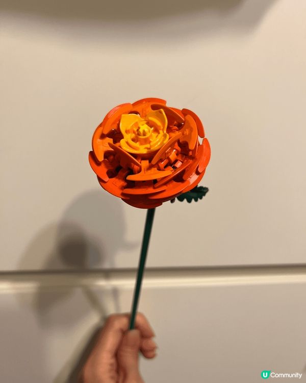 太古廣場樂高植物園「Where Bricks Bloom」：...