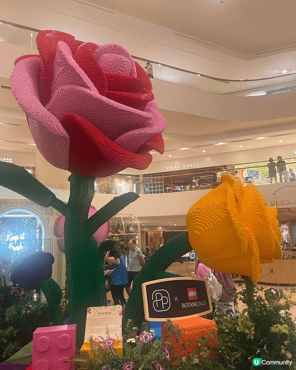 太古廣場樂高植物園「Where Bricks Bloom」：...