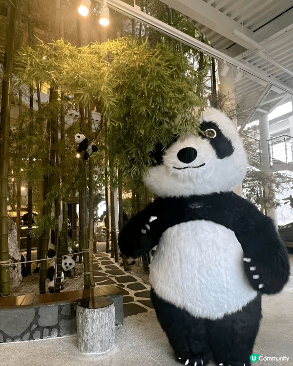 繼續尋找熊貓蹤影，今次去咗間以熊貓竹林做主題嘅Cafe  ~...