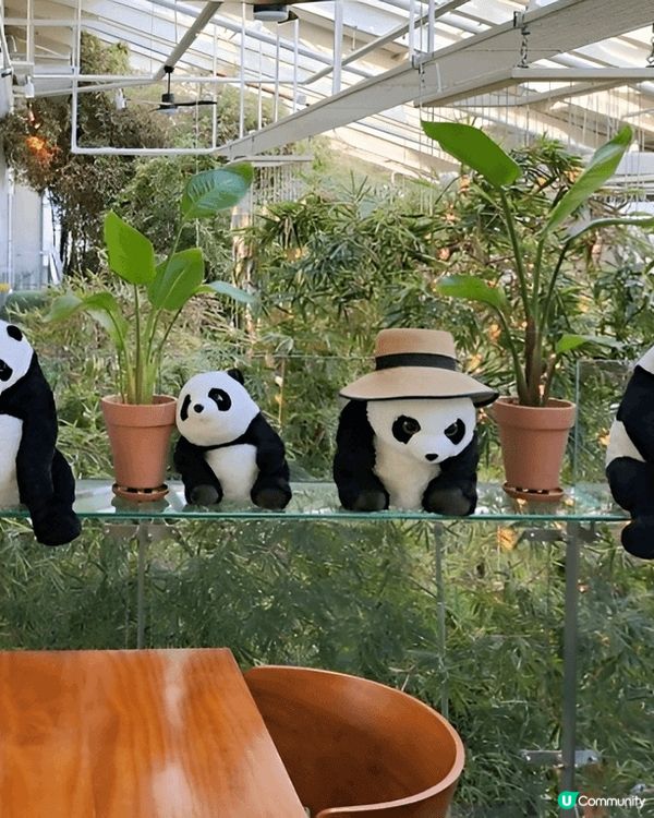 繼續尋找熊貓蹤影，今次去咗間以熊貓竹林做主題嘅Cafe  ~...