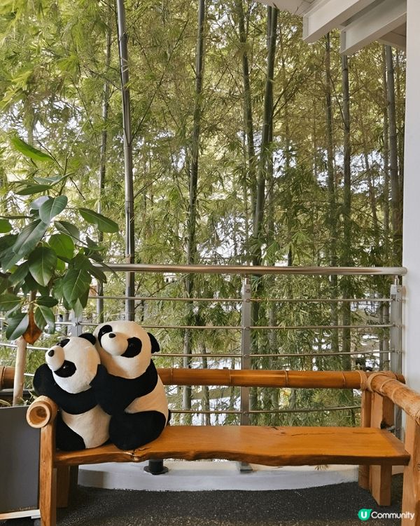 繼續尋找熊貓蹤影，今次去咗間以熊貓竹林做主題嘅Cafe  ~...