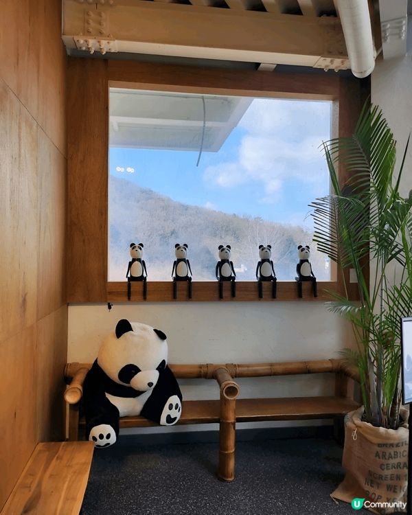 繼續尋找熊貓蹤影，今次去咗間以熊貓竹林做主題嘅Cafe  ~...