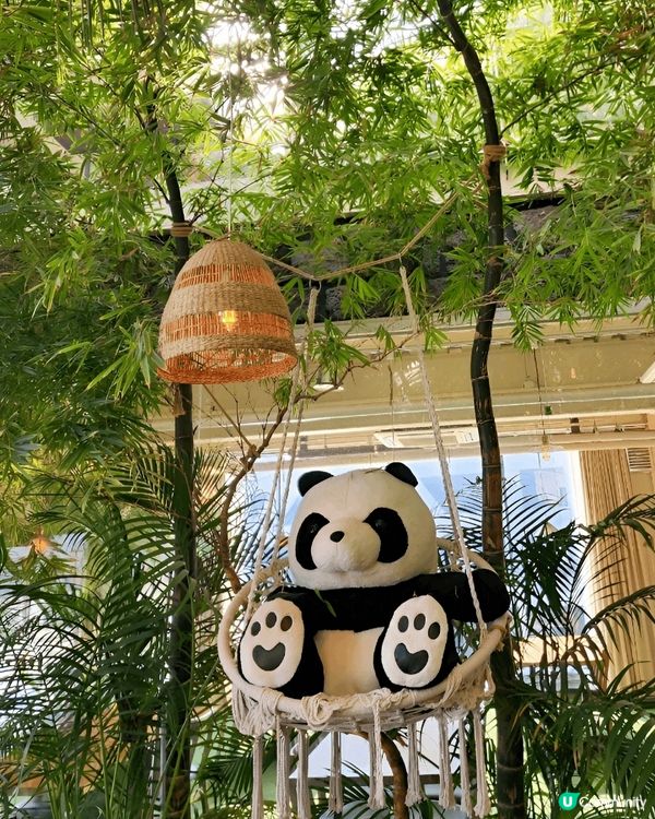 繼續尋找熊貓蹤影，今次去咗間以熊貓竹林做主題嘅Cafe  ~...