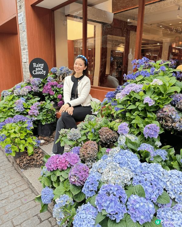 ᪥位於深圳南山區的南投古城，擁有過千年的歷史，當中有多座廟宇...