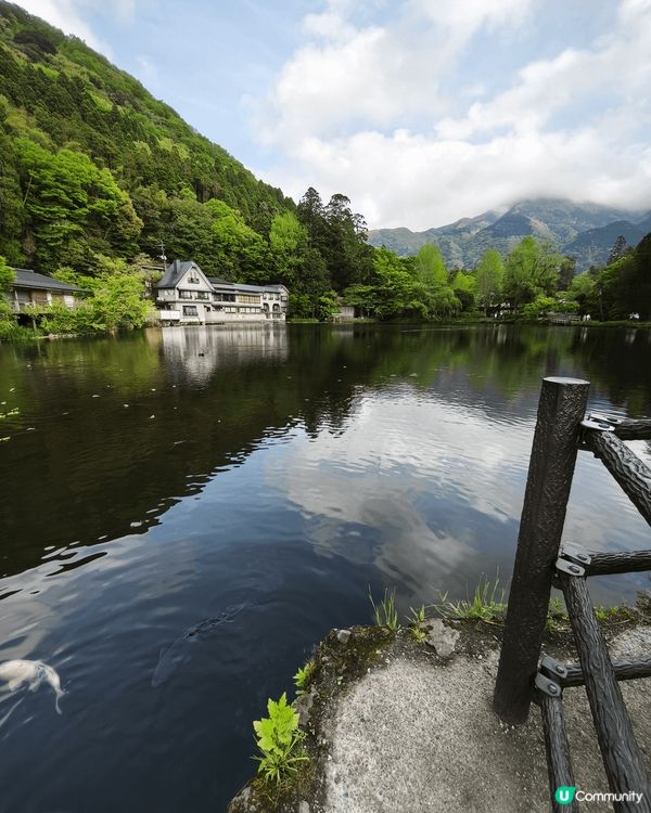 金鱗湖 - 位於湯布院嘅一個打卡位,樹林山水水中鳥居加舊建築...