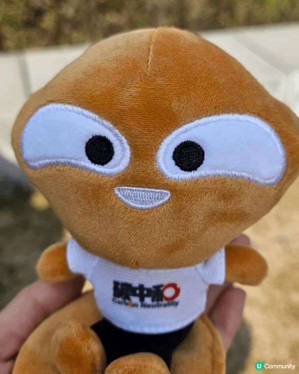 在Megabox商場對面，綠在觀塘隔離設置了‘’尋找愛麗B‘...