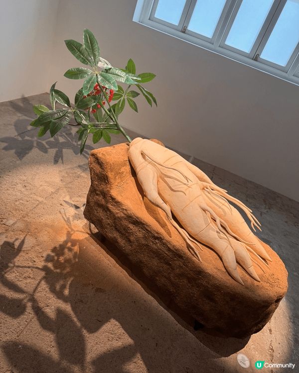 油街實現是一個位於北角社區的藝術空間，今日帶大家去睇吓今期有...