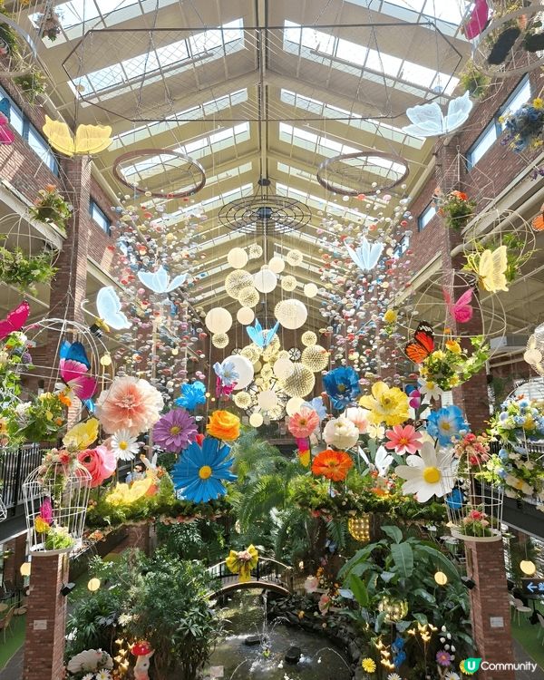 京畿道高陽市有間人氣打卡cafe Forest outing...