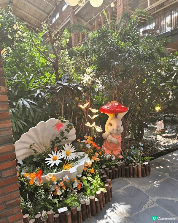 京畿道高陽市有間人氣打卡cafe Forest outing...