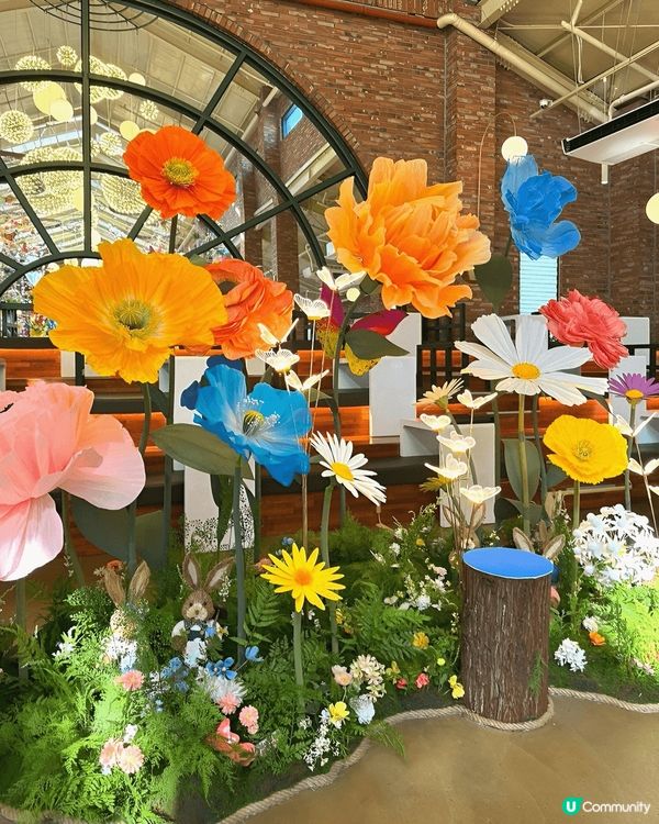 京畿道高陽市有間人氣打卡cafe Forest outing...