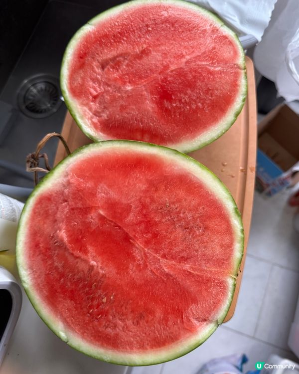 消暑西瓜8424🍉🤩