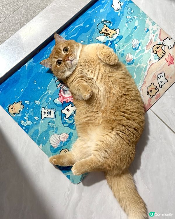 金金：無業獨生子的耍廢日常