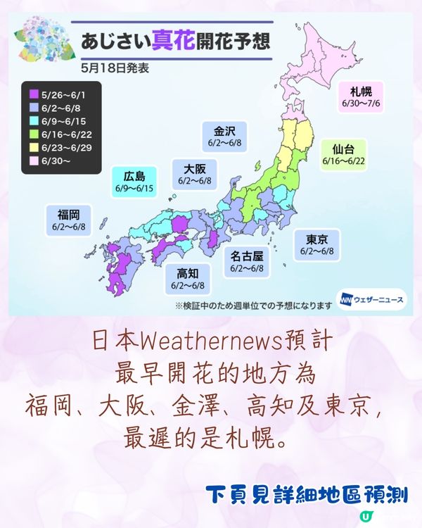 2025日本各地繡球花預測🪻附鎌倉/京都/福岡/大阪/東京5大市區賞花地開花日期+祭典活動詳情