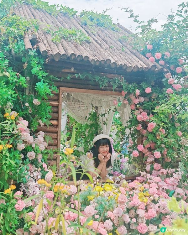 🪻🌷【隱世莫奈花園】💐 處處都是打卡點！📸