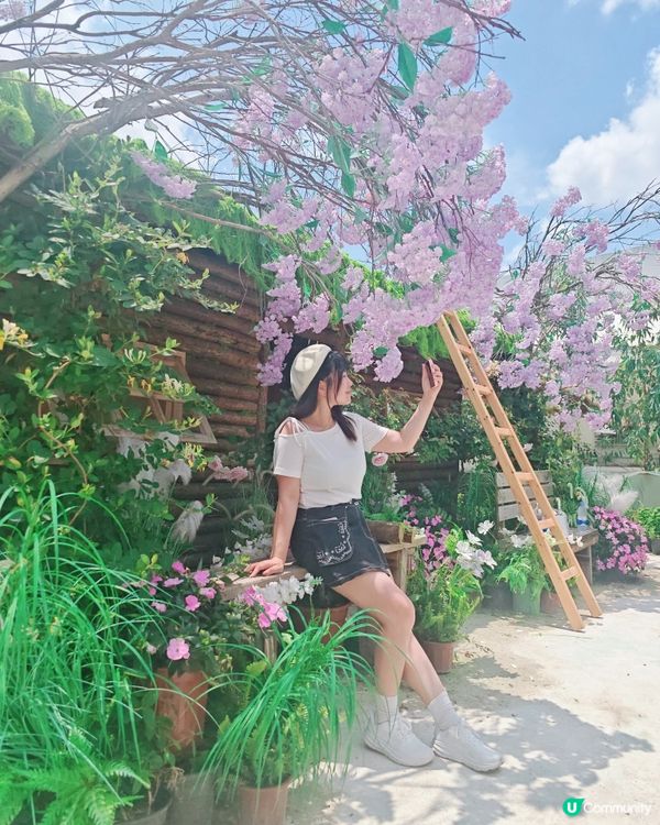 🪻🌷【隱世莫奈花園】💐 處處都是打卡點！📸