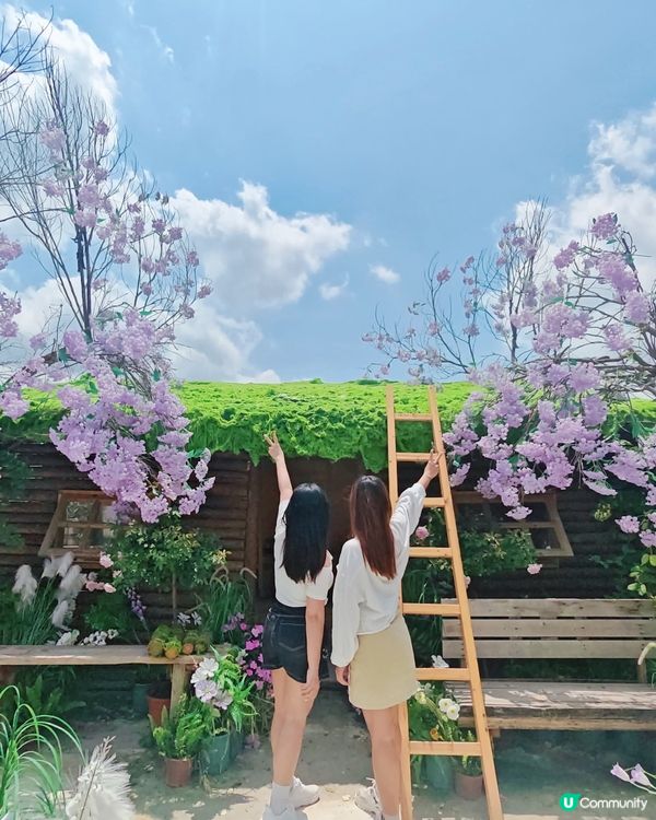 🪻🌷【隱世莫奈花園】💐 處處都是打卡點！📸