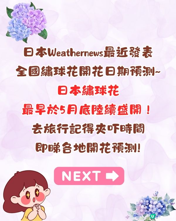 2025日本各地繡球花預測🪻附鎌倉/京都/福岡/大阪/東京5大市區賞花地開花日期+祭典活動詳情