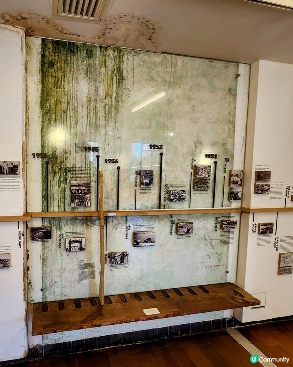 📍警署變身‼️🏕️ 白色小屋🤗露營風輕食cafe ☕️