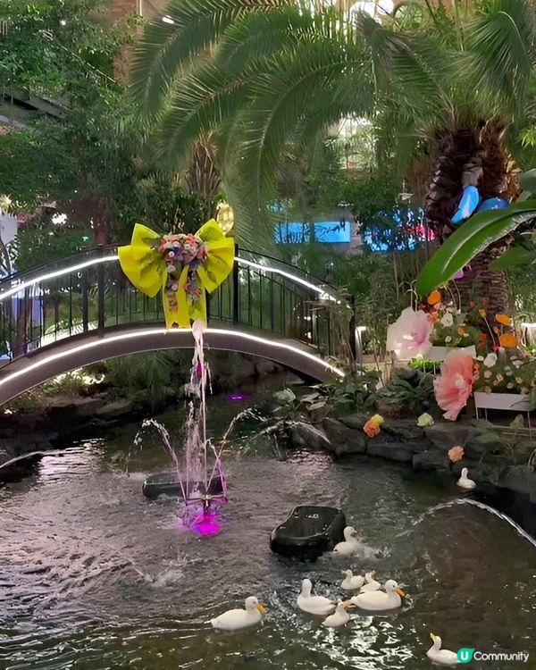 京畿道高陽市有間人氣打卡cafe Forest outing...