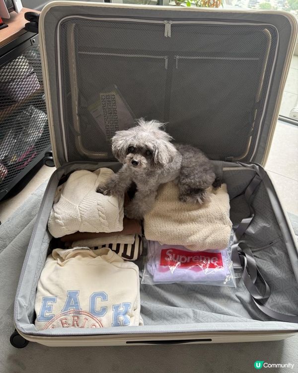 Ｉ BeのVIVA Venus 拉鏈前開蓋行李箱分享Ｉ 