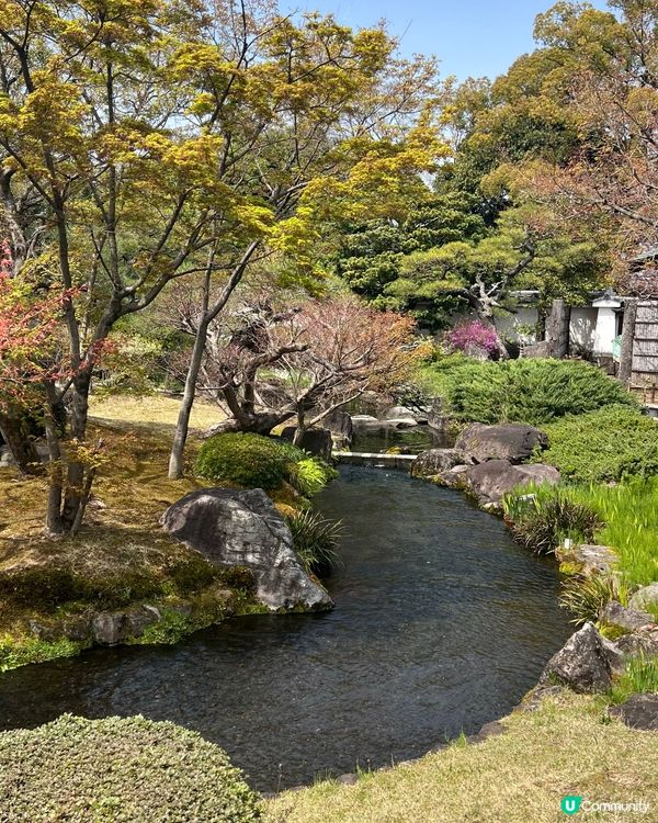 好古園🍵抹茶🍵和菓子，700蚊體驗日式茶道！