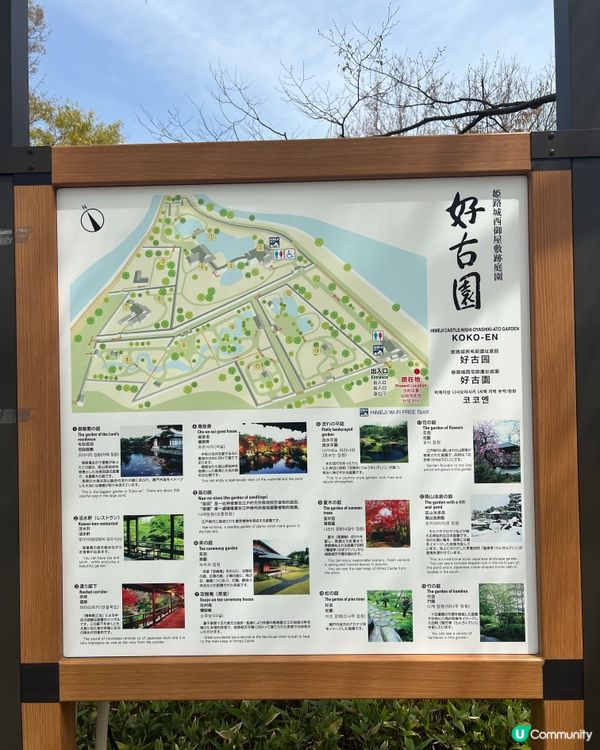 好古園🍵抹茶🍵和菓子，700蚊體驗日式茶道！