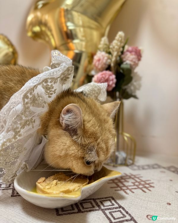 萬大事食左先講