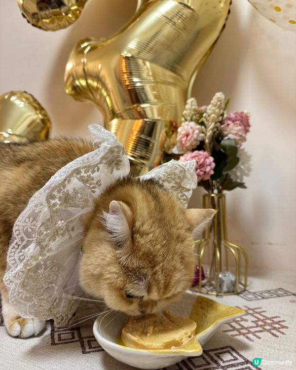 萬大事食左先講