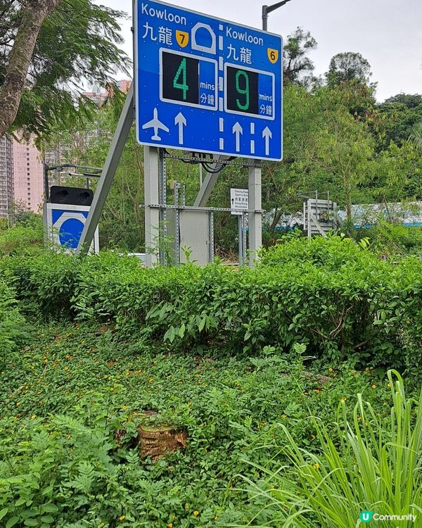 等待的時間早上和黃昏特別長