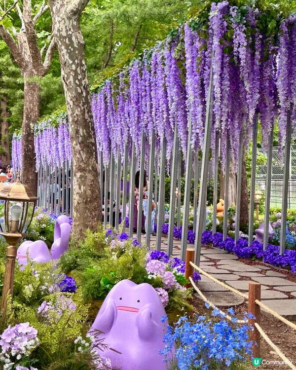 🇰🇷首爾必去活動‼️一年一度首爾國際花展正式開幕‼️