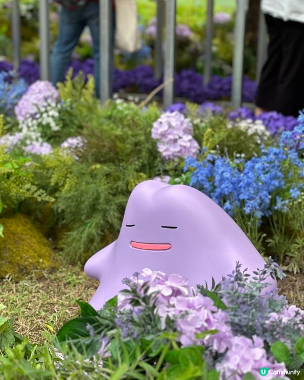 🇰🇷首爾必去活動‼️一年一度首爾國際花展正式開幕‼️