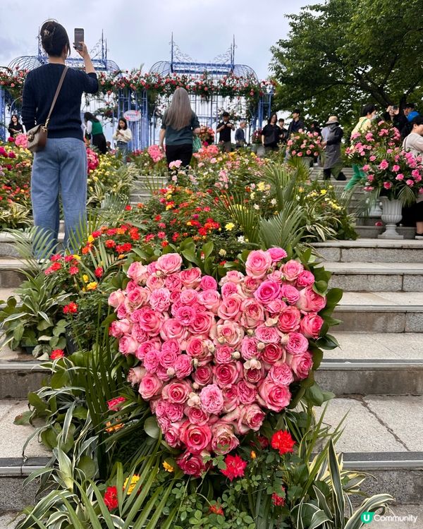 🇰🇷首爾必去活動‼️一年一度首爾國際花展正式開幕‼️