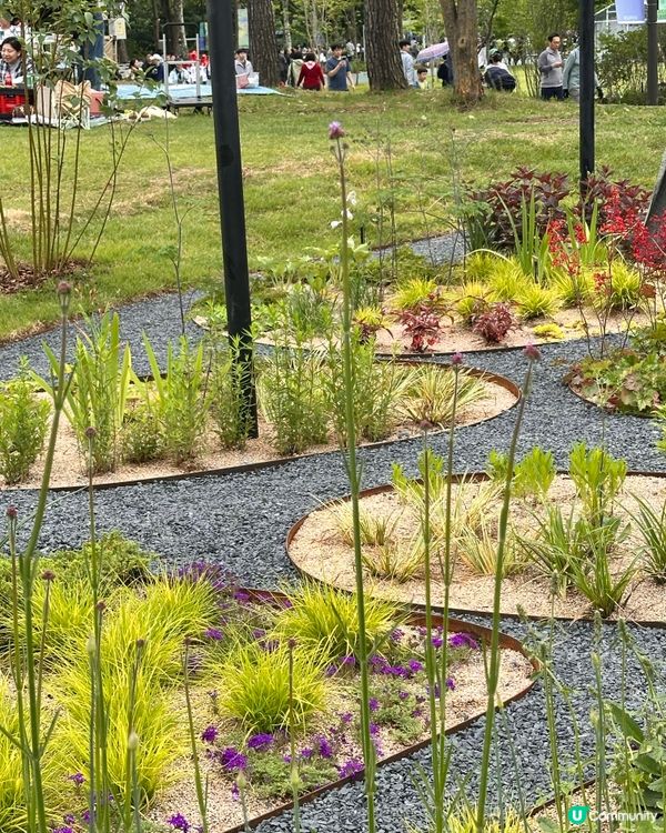 🇰🇷首爾必去活動‼️一年一度首爾國際花展正式開幕‼️