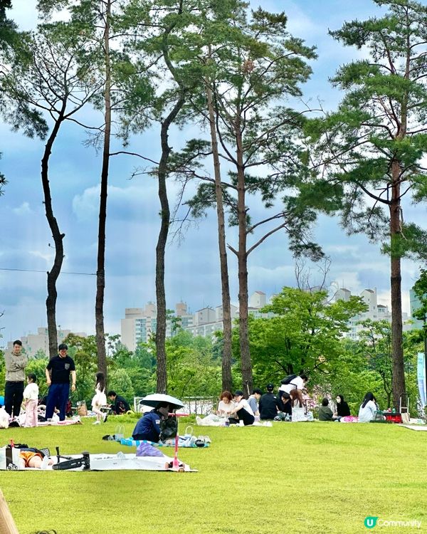 🇰🇷首爾必去活動‼️一年一度首爾國際花展正式開幕‼️