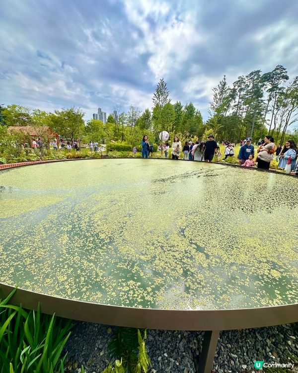 🇰🇷首爾必去活動‼️一年一度首爾國際花展正式開幕‼️