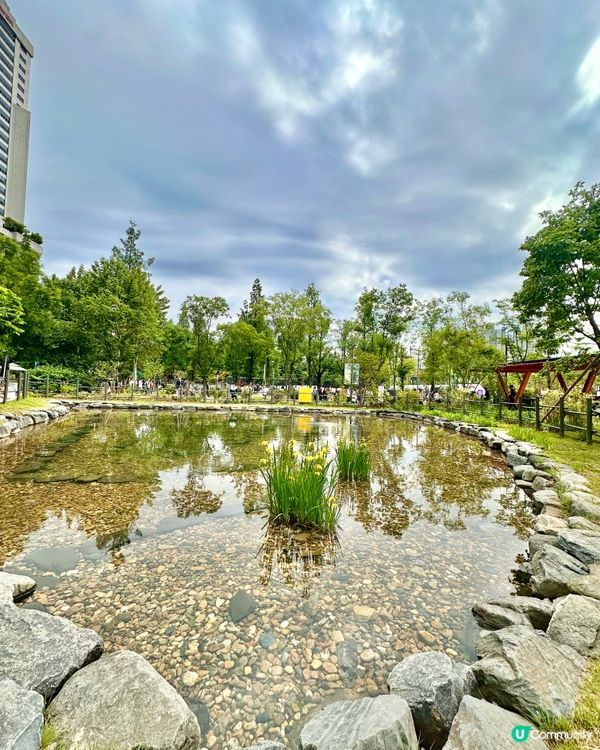 🇰🇷首爾必去活動‼️一年一度首爾國際花展正式開幕‼️