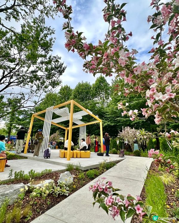 🇰🇷首爾必去活動‼️一年一度首爾國際花展正式開幕‼️