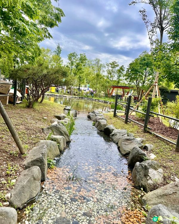 🇰🇷首爾必去活動‼️一年一度首爾國際花展正式開幕‼️