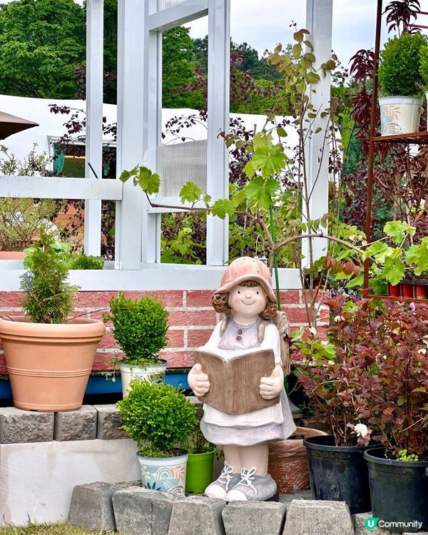 🇰🇷首爾必去活動‼️一年一度首爾國際花展正式開幕‼️