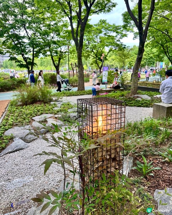🇰🇷首爾必去活動‼️一年一度首爾國際花展正式開幕‼️