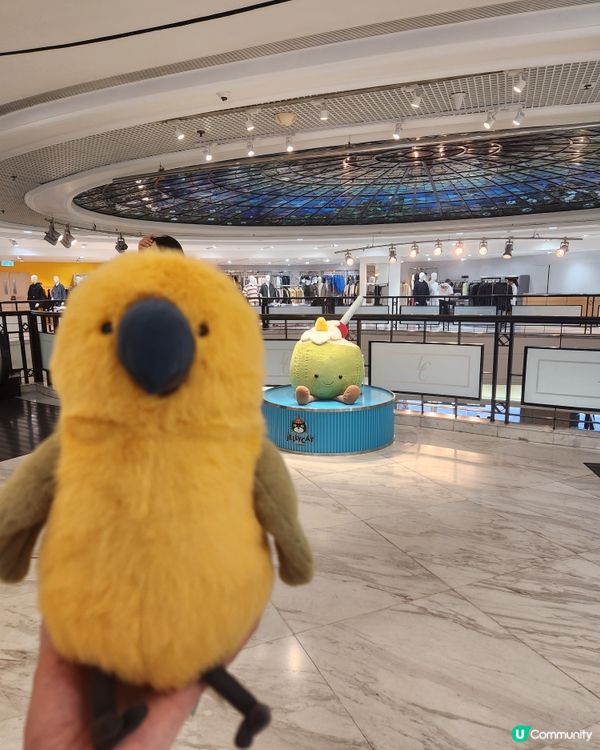 【Jellycat夏日限定】銅鑼灣快閃店打卡🔥