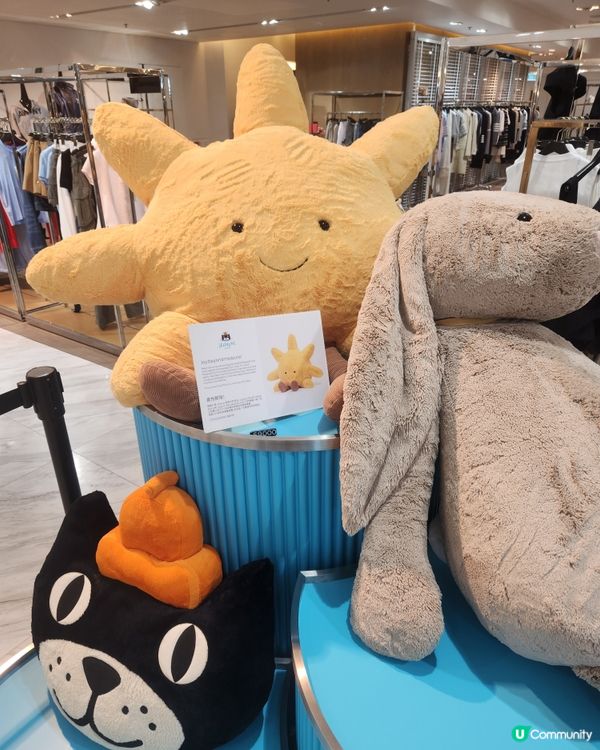 【Jellycat夏日限定】銅鑼灣快閃店打卡🔥