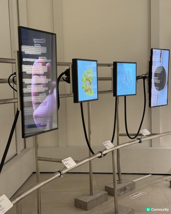 ASMR超治癒，一於去Airside感受一下！