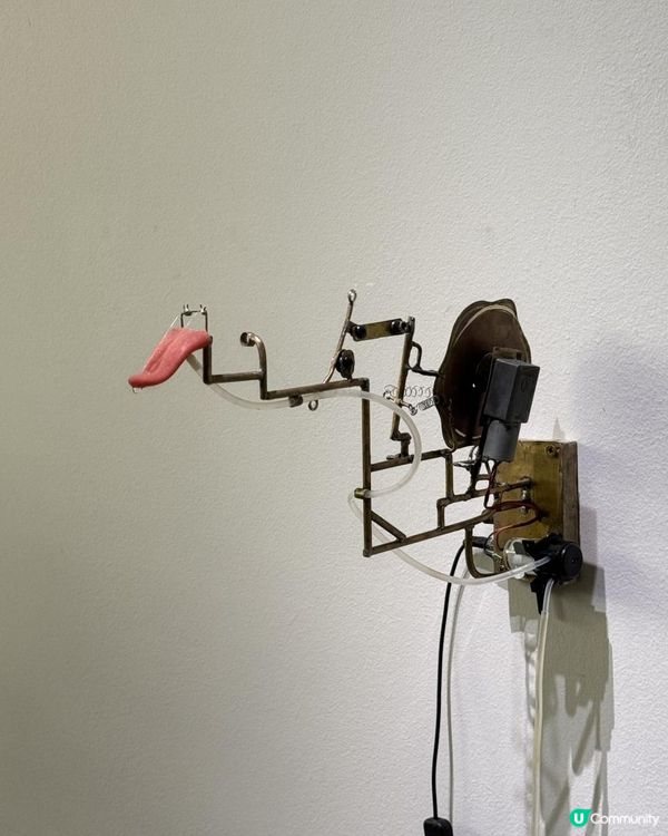 ASMR超治癒，一於去Airside感受一下！