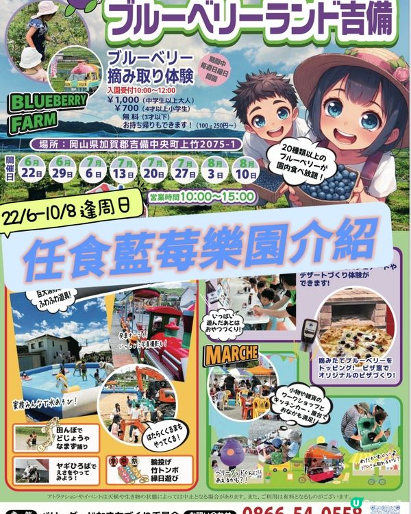 任食藍莓樂園介紹🫐逢星期日有得食有得玩🥳