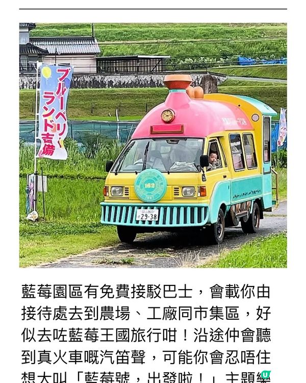 任食藍莓樂園介紹🫐逢星期日有得食有得玩🥳