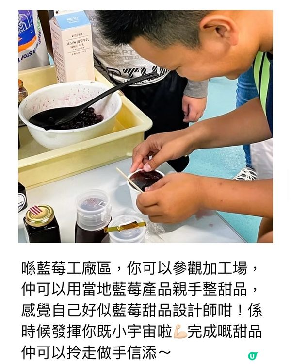 任食藍莓樂園介紹🫐逢星期日有得食有得玩🥳