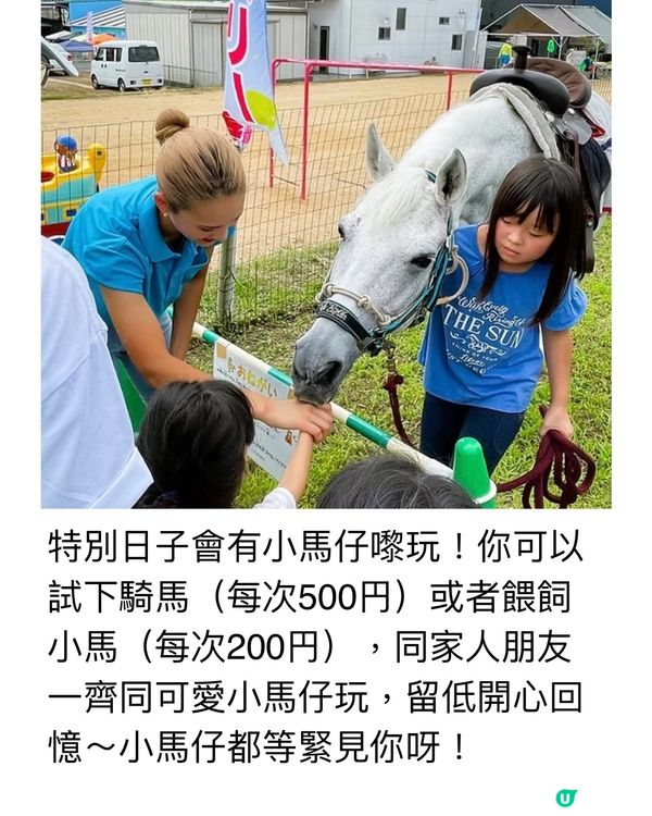 任食藍莓樂園介紹🫐逢星期日有得食有得玩🥳