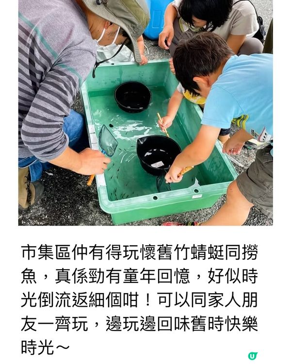 任食藍莓樂園介紹🫐逢星期日有得食有得玩🥳